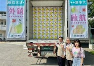 探索麻豆文化传媒：揭示背后的故事与精彩剧情解析
