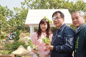 麻豆花季盛典：忘忧草传媒带你畅享视听盛宴