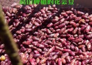 探索娱乐网红麻豆传媒富二代最新视频种子分享