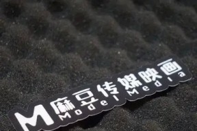 麻豆传媒印画免费下载渠道及注意事项