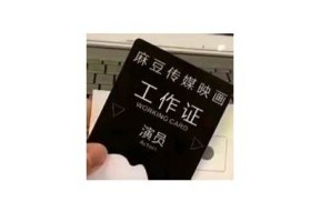 探索亚洲麻豆画精品传媒：艺术与创意的完美结合