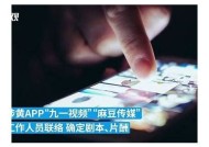 麻豆传媒是否违反法律法规？详细调查与探讨