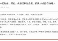 麻豆传媒的国家限制动因调查及影响探讨