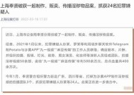 探秘麻豆传媒：中国最具影响力的数字内容平台